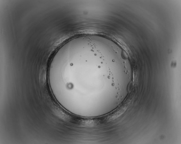 X0000100330301200806121134