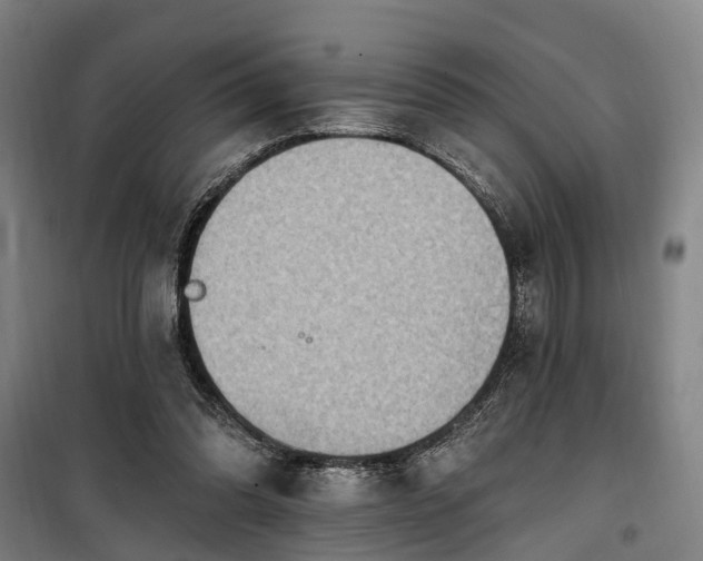 X0000100330302200806121134