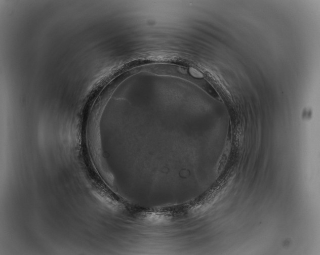 X0000100330303200806121134