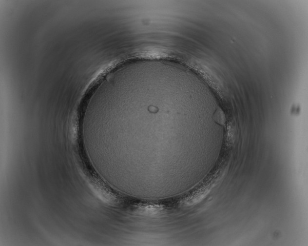 X0000100330304200806121134