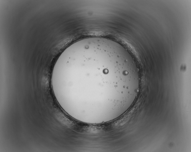 X0000100330305200806121134