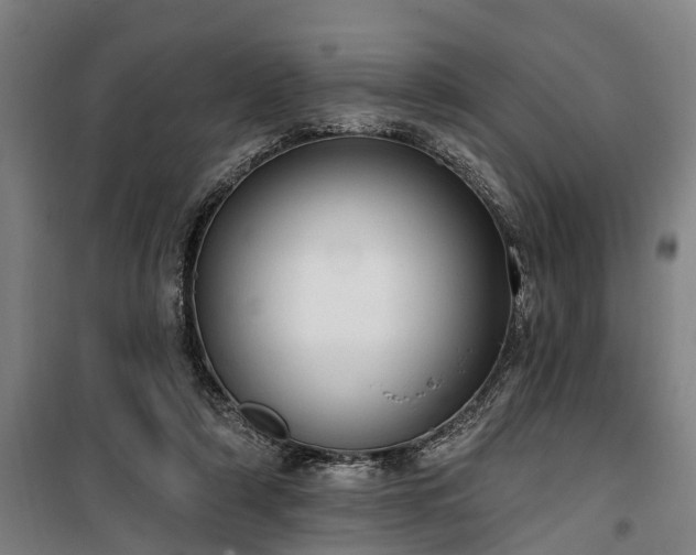 X0000100330306200806121134