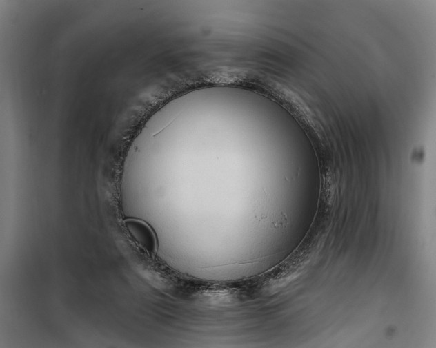 X0000100330307200806121134