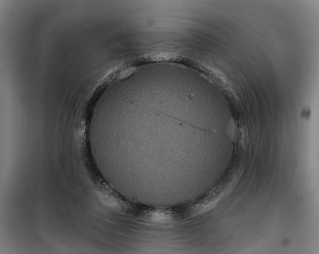 X0000100330308200806121134