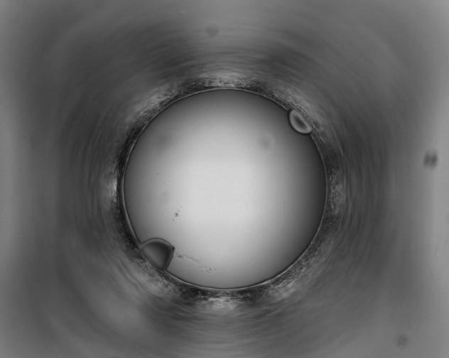 X0000100330310200806121134