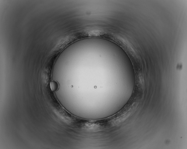 X0000100330311200806121134