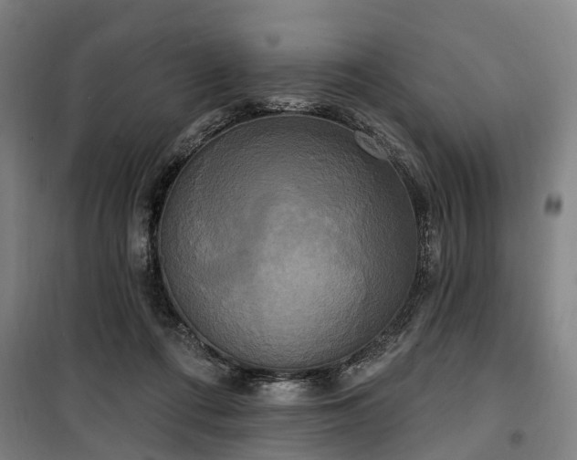 X0000100330312200806121133