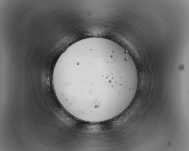 X0000100330313200806121133