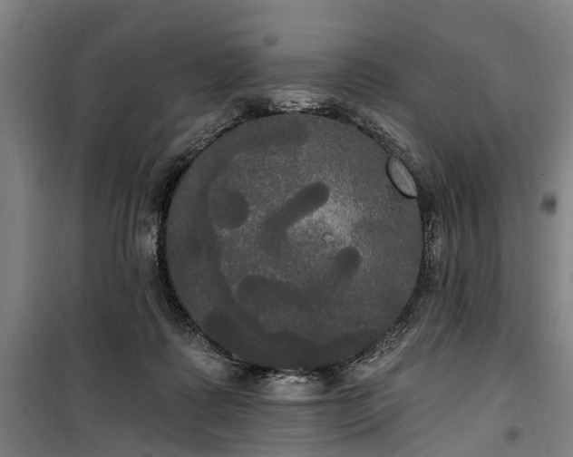 X0000100330315200806121133