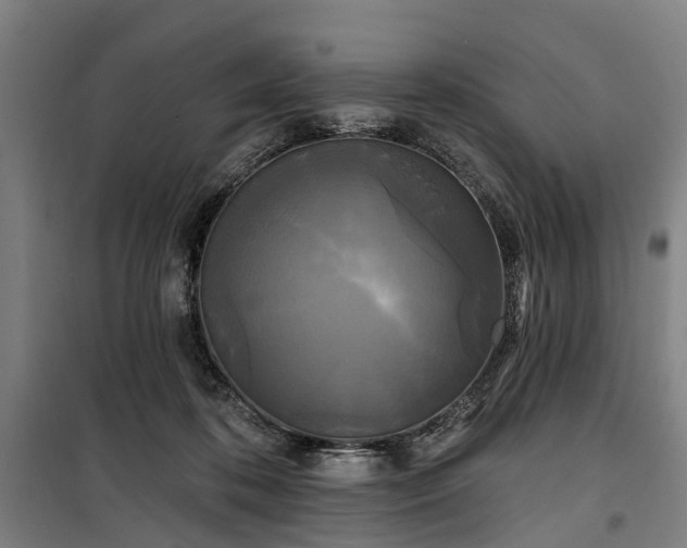 X0000100330316200806121133