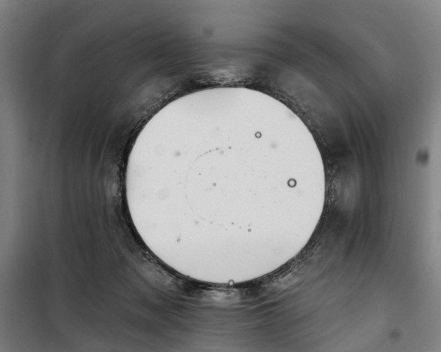 X0000100330317200806121133