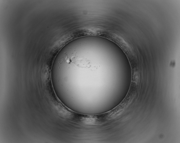 X0000100330318200806121133