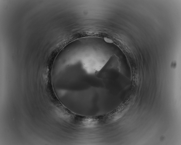 X0000100330319200806121133