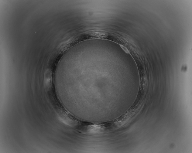 X0000100330320200806121133