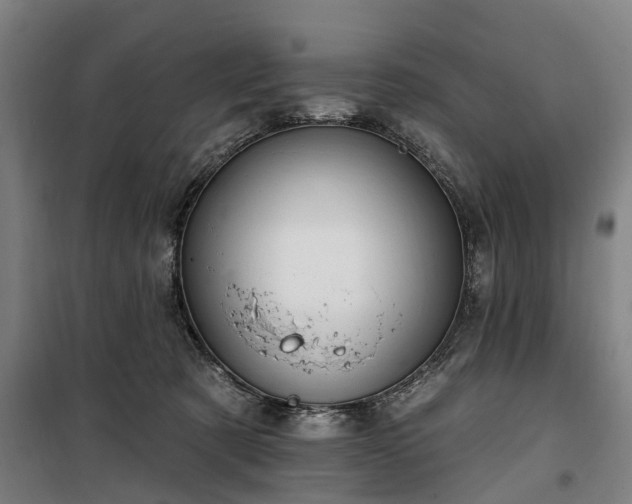 X0000100330321200806121133