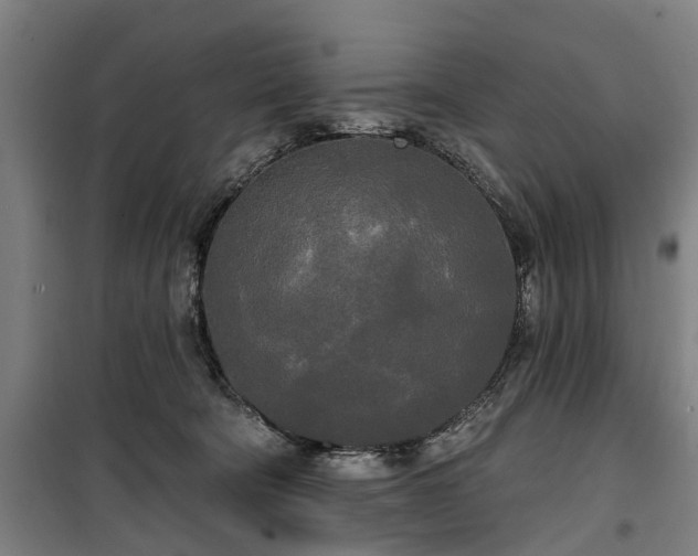 X0000100330322200806121133