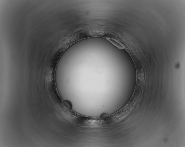 X0000100330323200806121133