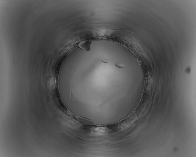 X0000100330324200806121133