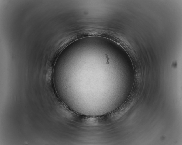 X0000100330325200806121133