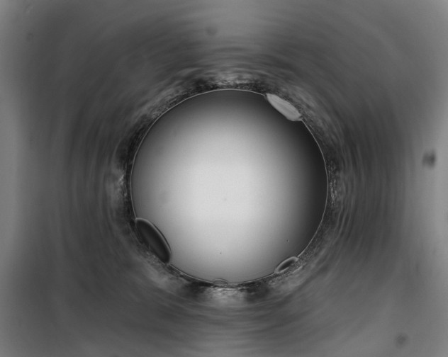 X0000100330327200806121133