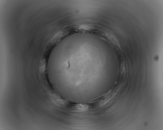 X0000100330328200806121133