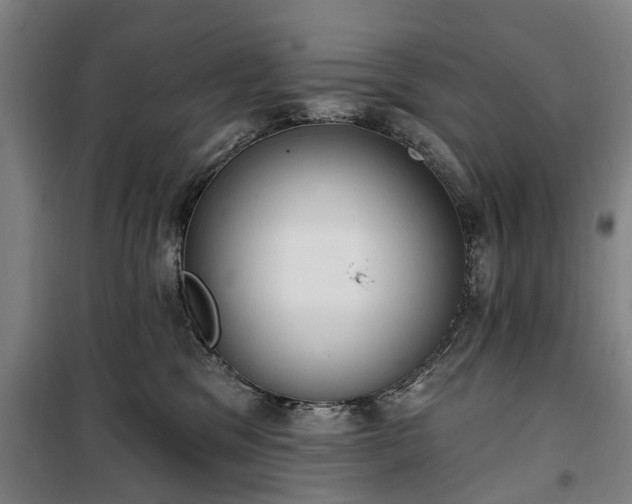 X0000100330329200806121133