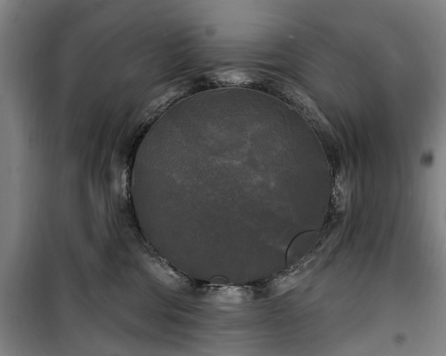 X0000100330330200806121133