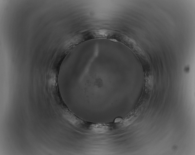 X0000100330331200806121133