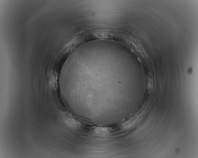 X0000100330332200806121133