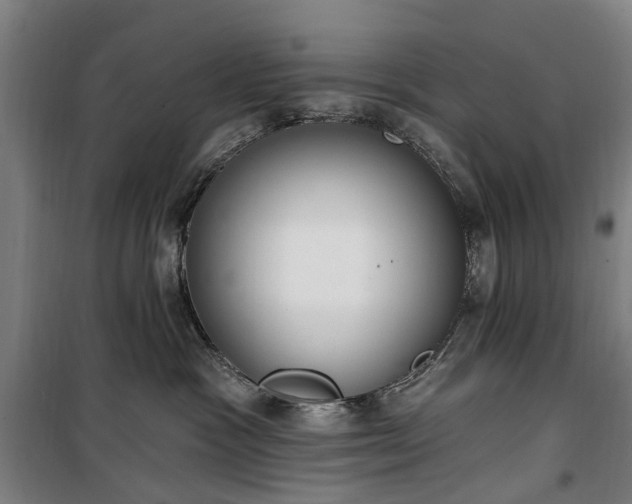 X0000100330333200806121133