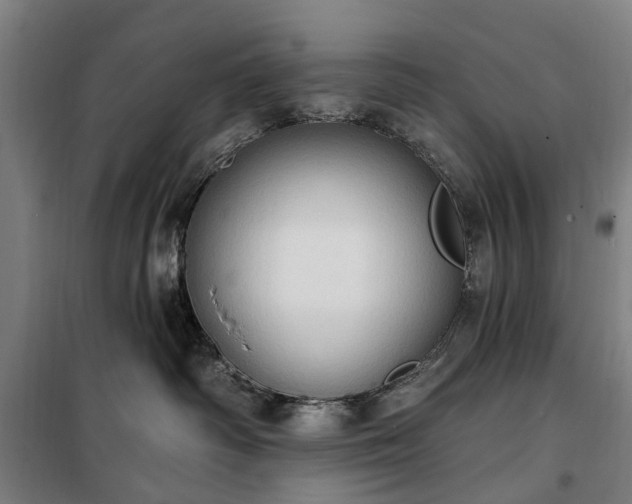 X0000100330334200806121133