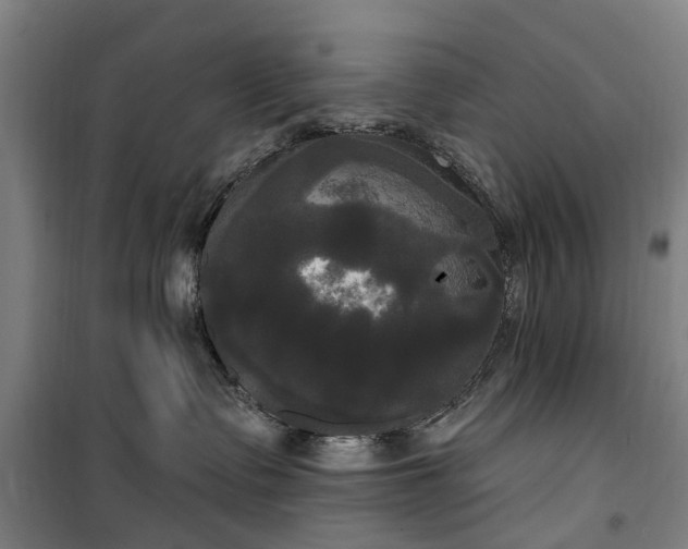 X0000100330335200806121133