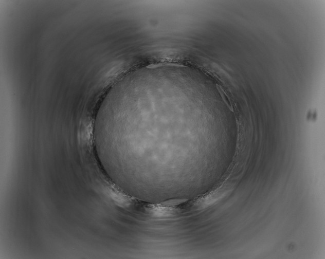 X0000100330336200806121133