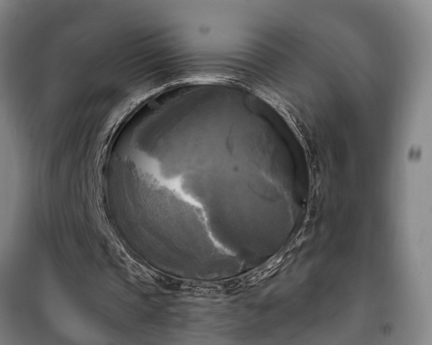 X0000100330337200806121132