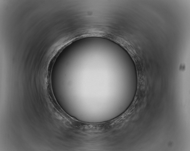 X0000100330338200806121132