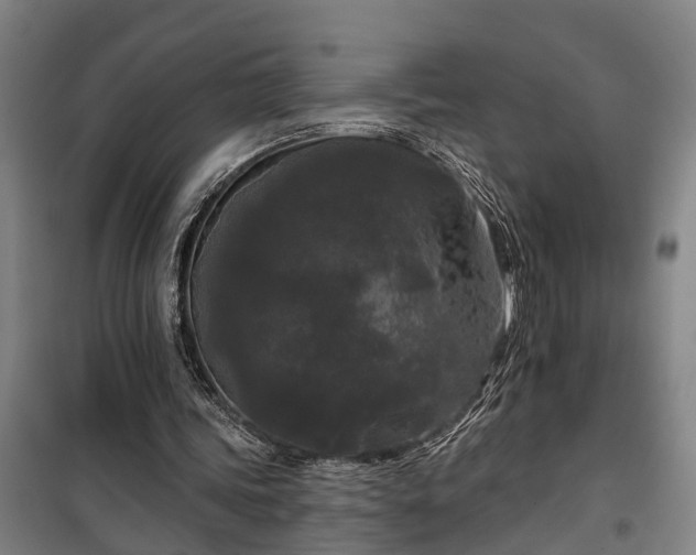 X0000100330339200806121132