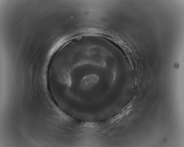 X0000100330341200806121133