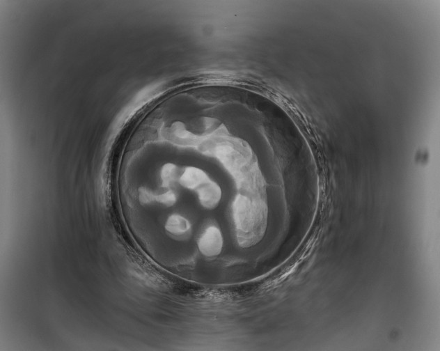 X0000100330343200806121133