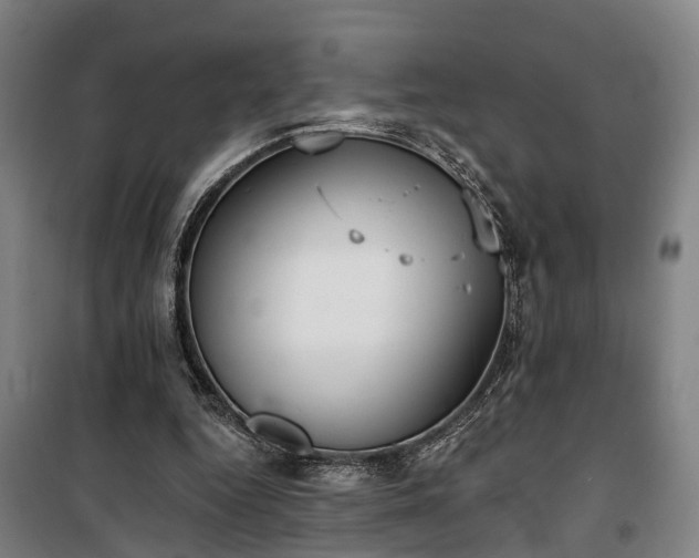 X0000100330344200806121133