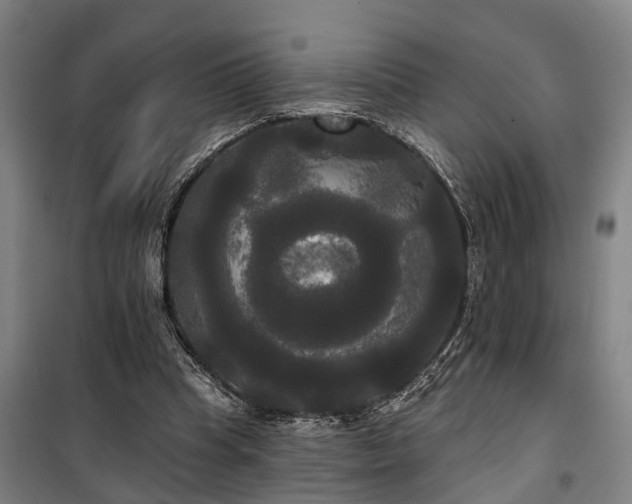 X0000100330345200806121133