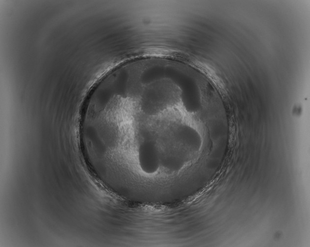 X0000100330346200806121133