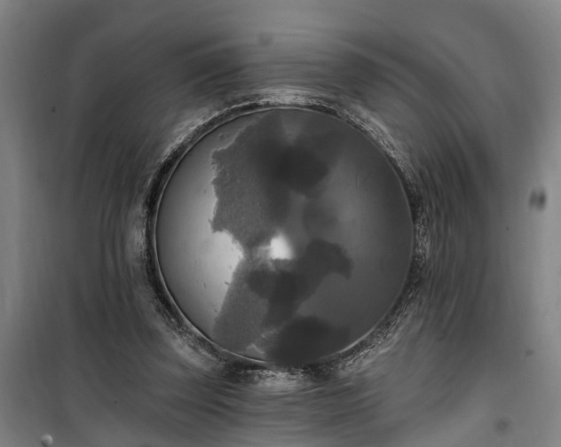 X0000100330347200806121133