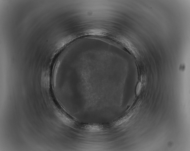 X0000100330349200806121133