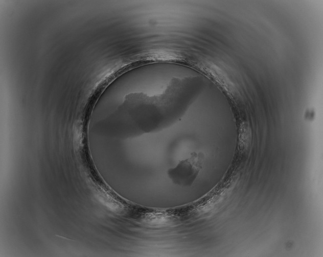 X0000100330351200806121133