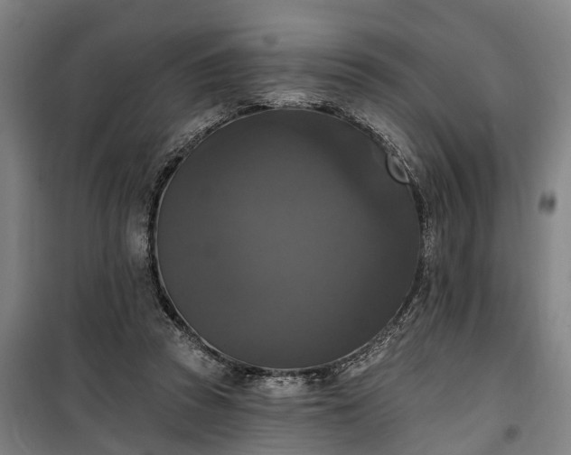 X0000100330353200806121133