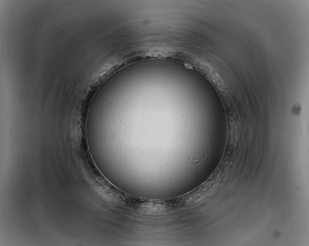 X0000100330354200806121133