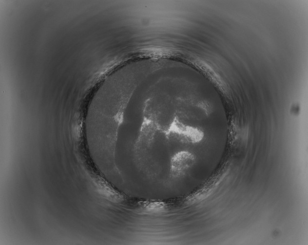 X0000100330355200806121133