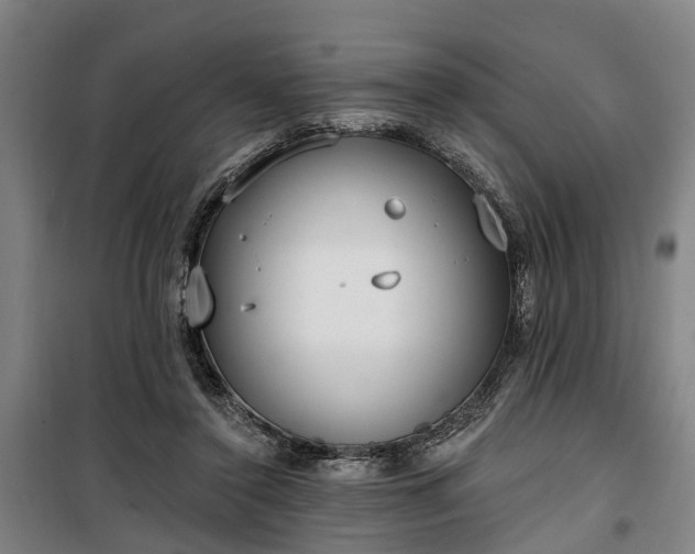 X0000100330356200806121133