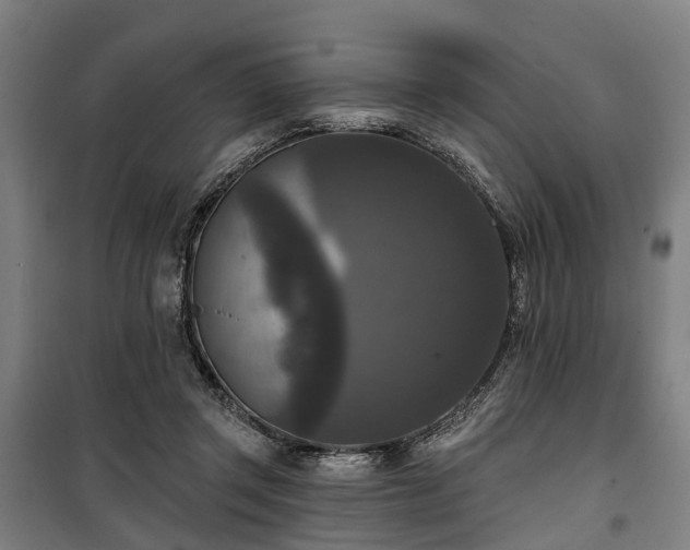 X0000100330357200806121133