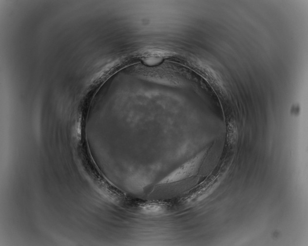 X0000100330358200806121133